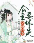 穿越权宠:公主要休夫