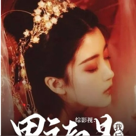 综影视：男主都是我后宫