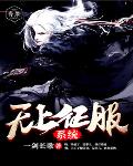 无上征服系统