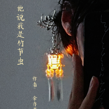 他说我是竹节虫