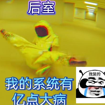 后室：我的系统有亿点大病