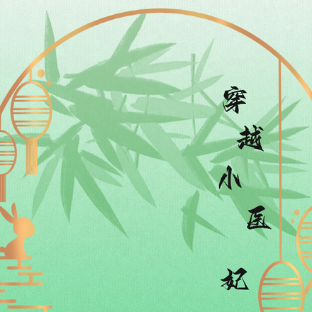 穿越小医妃