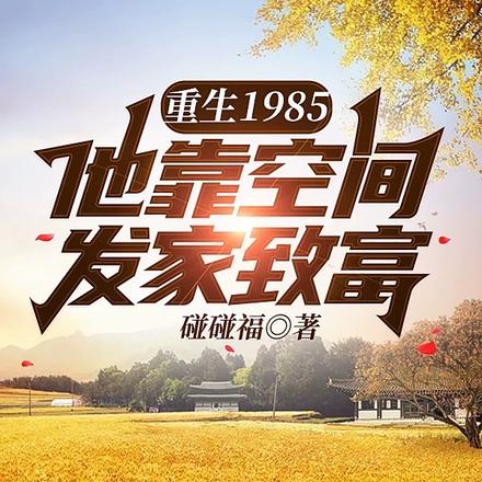 重生1985，他靠空间发家致富