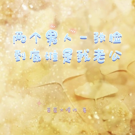 两个男人一张脸,到底谁是我老公