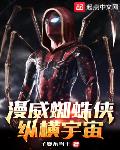 漫威蜘蛛侠:纵横宇宙