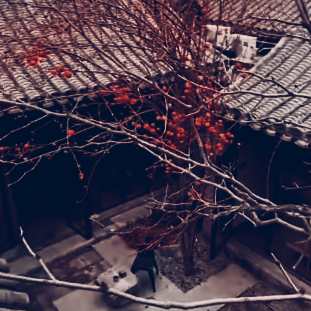 四合院:的另类人生