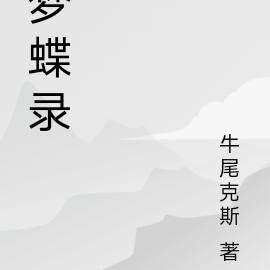 梦蝶录