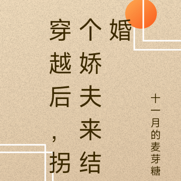 穿越后,拐个娇夫来结婚