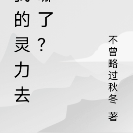我的灵力去哪了？