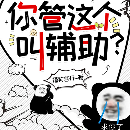 你管这个叫辅助?