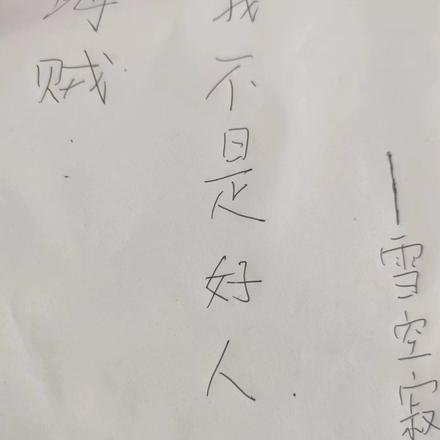 海贼：我不是好人