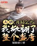 大唐:开局乞丐,我掀翻了整个盛唐