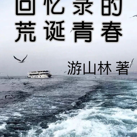 回忆录的荒诞青春