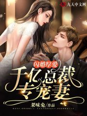 闪婚厚爱,千亿总裁专宠妻