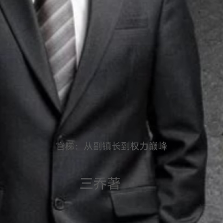 官梯：从副镇长到权力巅峰