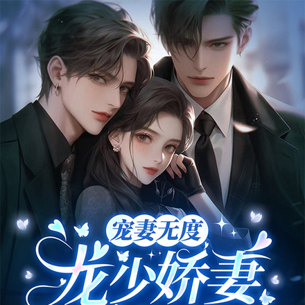 宠妻无度：龙少娇妻又美又飒