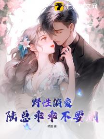 野性偏爱:陆总乖乖不要闹