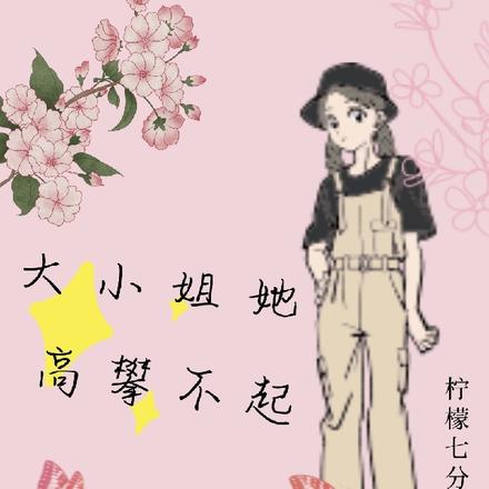 大小姐她高攀不起