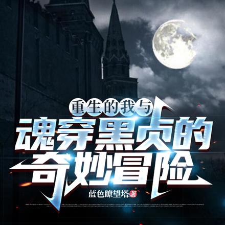 重生的我与魂穿黑贞的奇妙冒险