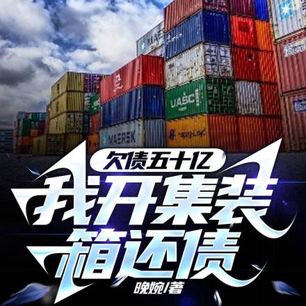 欠债五十亿,我开集装箱还债