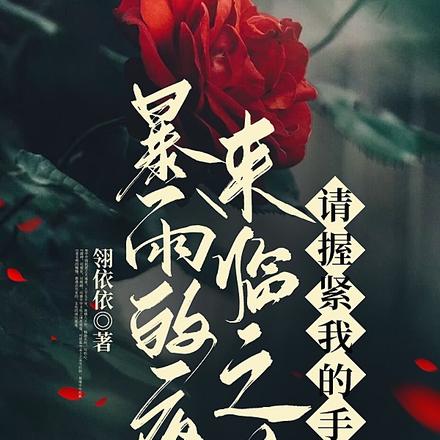 暴雨的夜来临之前,请握紧我的手