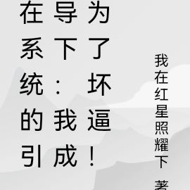 在系统的引导下:我成为了坏逼!