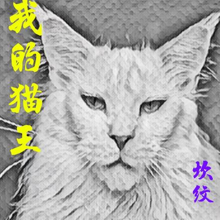 我的猫王