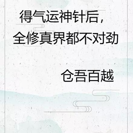得气运神针后,全修真界都不对劲