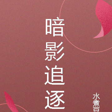 暗影追逐