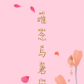 唯念此笙在线播放