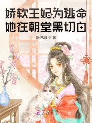 娇软王妃为逃命,她在朝堂黑切白