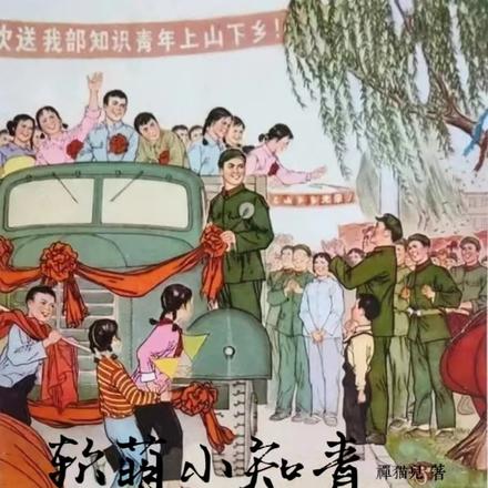 软萌小知青的吃瓜日常