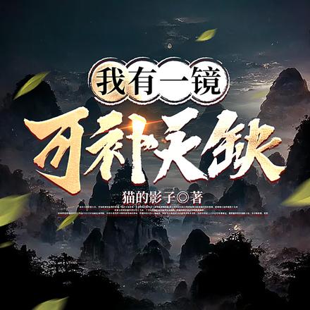 我有一镜，可补天缺