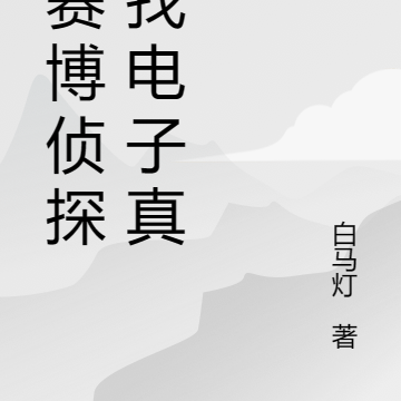 当赛博侦探，找电子真凶