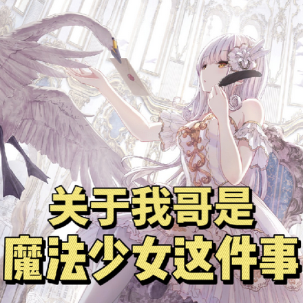 关于我哥是魔法少女这件事