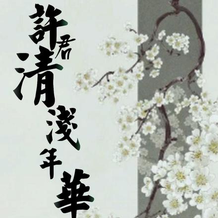 许君清浅年华