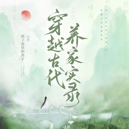 穿越古代养家实录