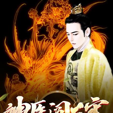 神医闯大宋