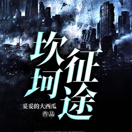 坎坷征途