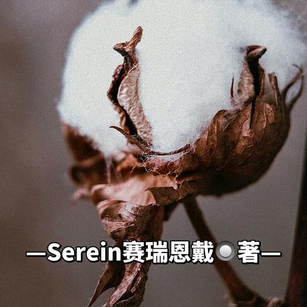 棉花爱人
