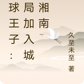 网球王子:开局加入城成湘南