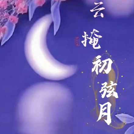 云掩初弦月