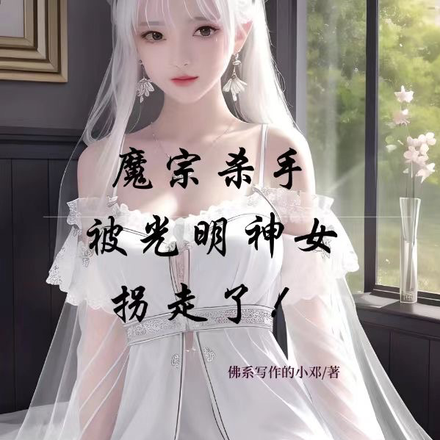魔宗杀手被光明神女拐走了