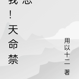 天命绝杀小说