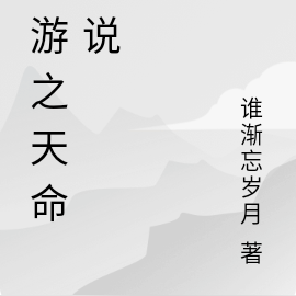 西游之天命传说