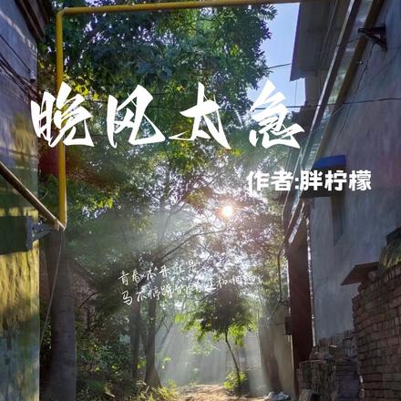 晚风太急