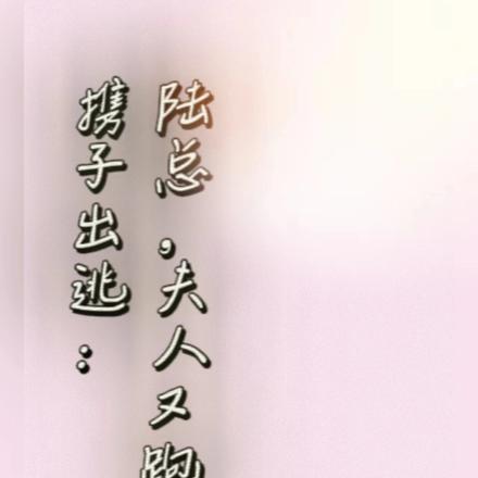 携子出逃:陆总,夫人又跑了