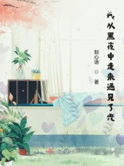 一撞成婚