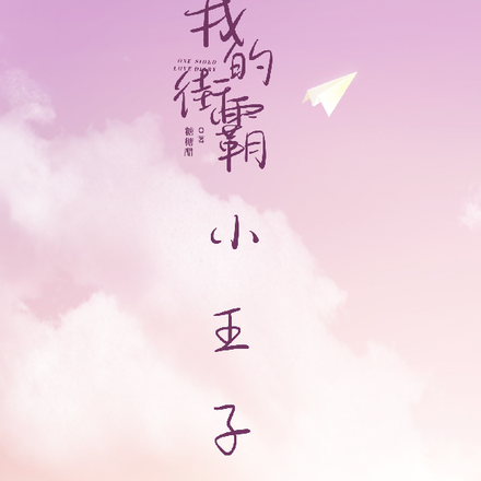 我的街霸小王子