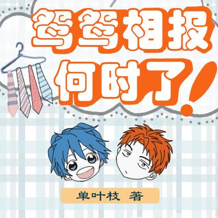 鸳鸳相报何时了